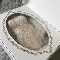 Wedding Dress Preservation in South Beach, FL